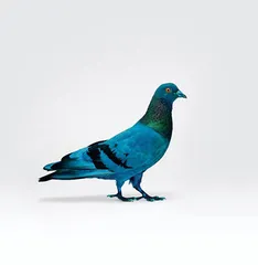 ​一个数字化时代的艺术家和他的模拟考古4