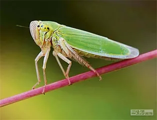 好消息·坏消息（872）1