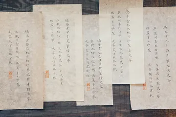 贡斌：复原真纸体系2