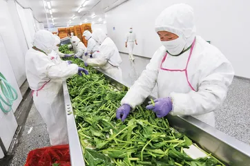 金滨耀，不按常理出牌的外贸游戏2