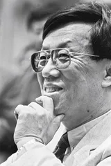 王蒙：不仅仅为了文学（2）