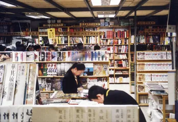 老实的人，最美的书