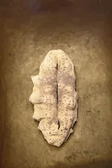 ​教育改革，德行为先