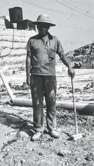 异域中的“本土”4