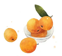 ​徽菜，寻找绝妙食材摆一桌盛宴10