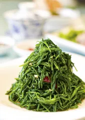 好东西(879)10