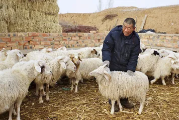 百年手抓羊肉：一盘宁夏断代史9