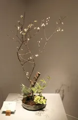 ​中华花艺：迁想妙得 别造灵奇2