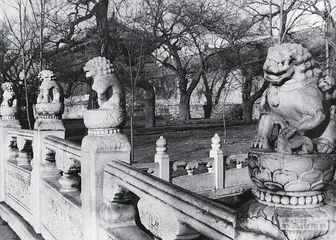千秋壮观君知否15