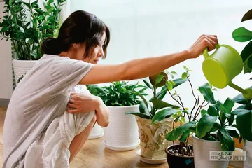 女性影人可能是韩国电影的未来0