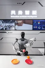 人形机器人：进化何以加速？6