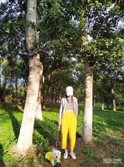 一桩数次延审的宠物投毒案1