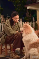 一桩数次延审的宠物投毒案3