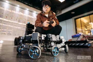人形机器人：进化何以加速？19
