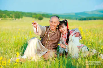 琼瑶、言情小说与情感教育7