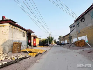 被抢走330天后离世的3岁女童3