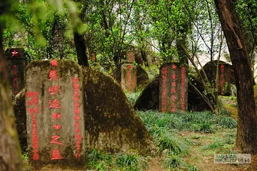 消失的坐标：816核工厂与隐秘人生5