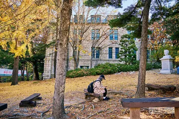 在韩国，被她们点燃的文学4