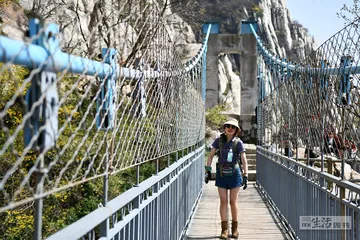 性，是沟通，是瘾，是生命力1