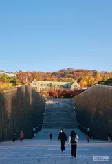 在韩国，被她们点燃的文学8