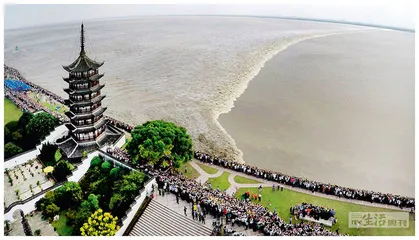 我来此地闻天语2