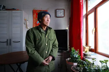 勃利县老虎伤人事件2