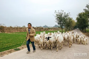 《货殖列传》中的历史地理密码2