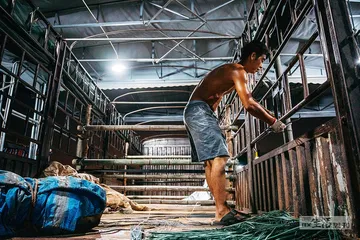 拉活鱼：极限时效的“苦役”2