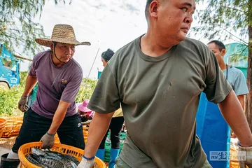拉活鱼：极限时效的“苦役”6