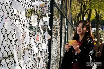 “00后”大学生：我可以不谈恋爱吗1