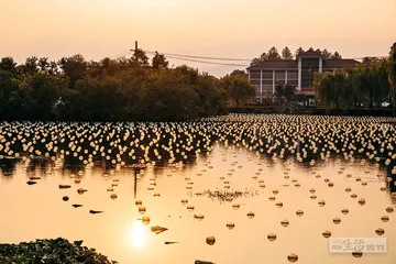 浙江山下湖：一颗珍珠的旅程4