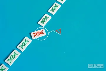 健康(1317)2