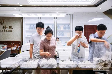 离乡还是返乡，小镇命运如何分化？1
