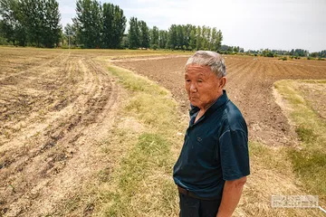 河南干旱：失效的抗旱井、尴尬的“种植大户”3