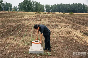 河南干旱：失效的抗旱井、尴尬的“种植大户”5
