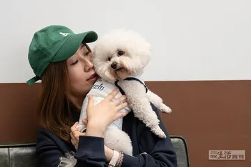 和猫狗一起，泡咖啡馆2