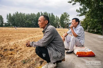 河南干旱：失效的抗旱井、尴尬的“种植大户”6