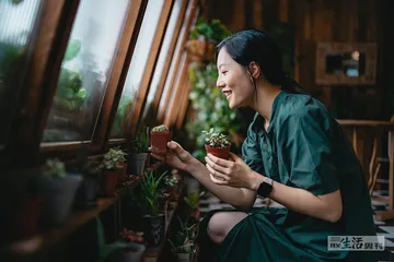 那些植物教给我们的事
