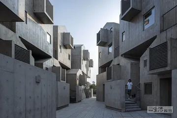 一个宠物酒店设计师的故事