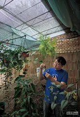 那些植物教给我们的事3