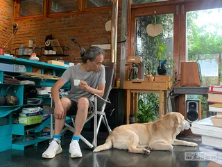 一个宠物酒店设计师的故事3