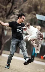 当它们和人成为彼此的情感治疗师2