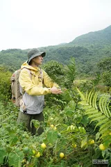 凝固的时间2