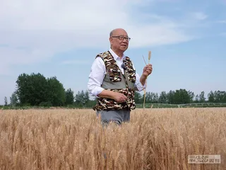 超级种子育种记1