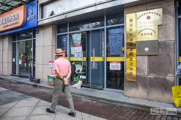人类社区里，动物有个“居委会”2
