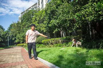 人类社区里，动物有个“居委会”3