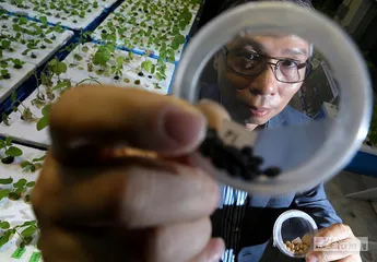 超级种子育种记3