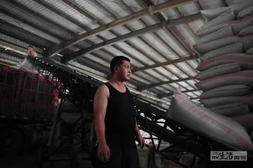 超级种子育种记4