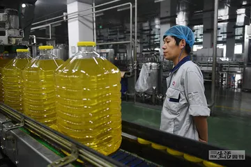 超级种子育种记5