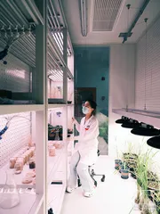 超级种子育种记8